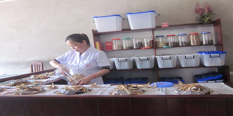 Bác sĩ Nguyễn Thị Kim Đoan